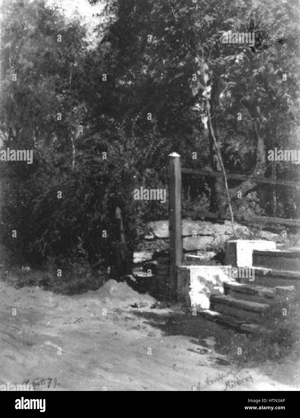 Wilhelm Amberg 1822-1899 - Schody stromy pod Foto Stock