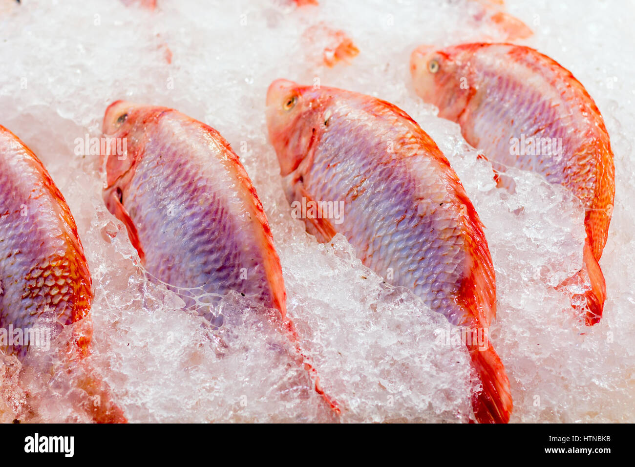 Crudo fresco pesce di mare in ghiaccio al mercato in Asia vicino al villaggio di pescatori Foto Stock