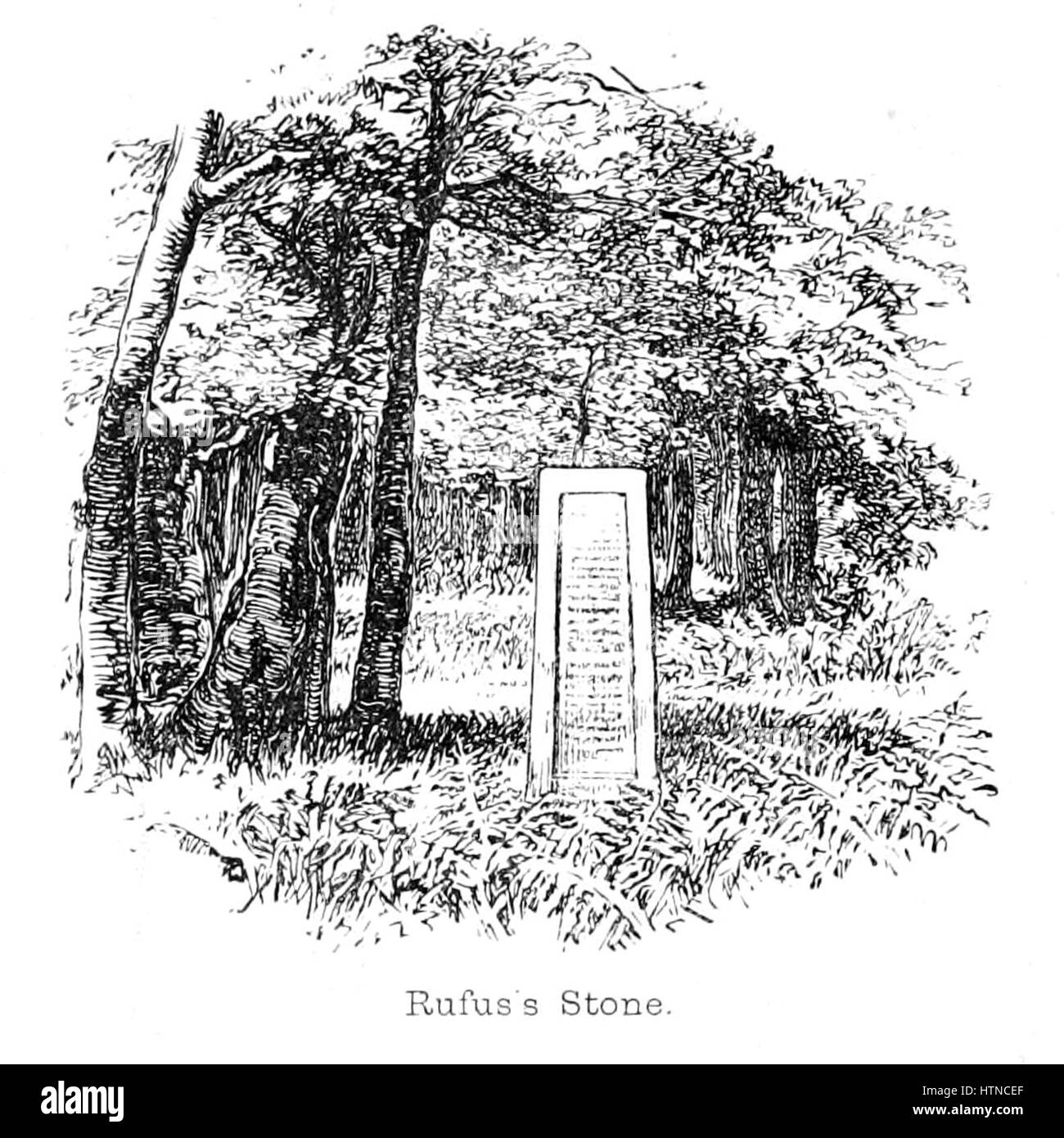 "The New Forest: La sua storia e il suo paesaggio" esplora la bellezza naturale e il significato storico della New Forest in Inghilterra. Il lavoro cattura i paesaggi panoramici e la ricca storia di questo famoso parco nazionale. Foto Stock