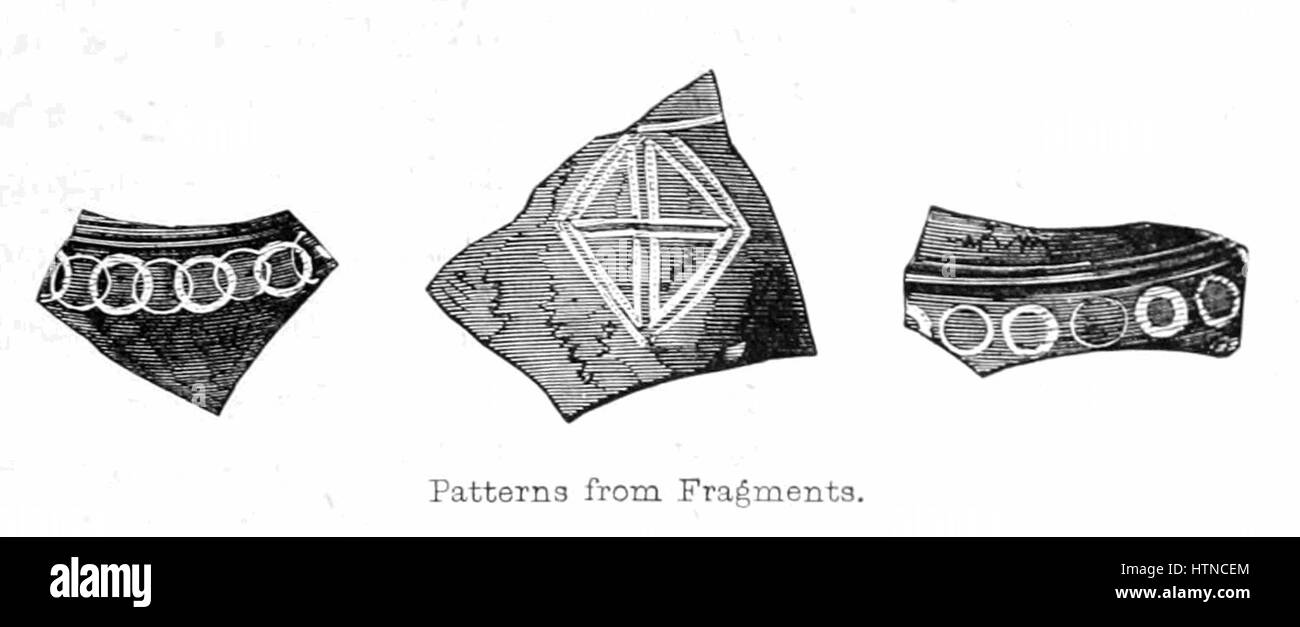 La foresta di nuovo la sua storia e i suoi paesaggi - pagina 223a Foto Stock