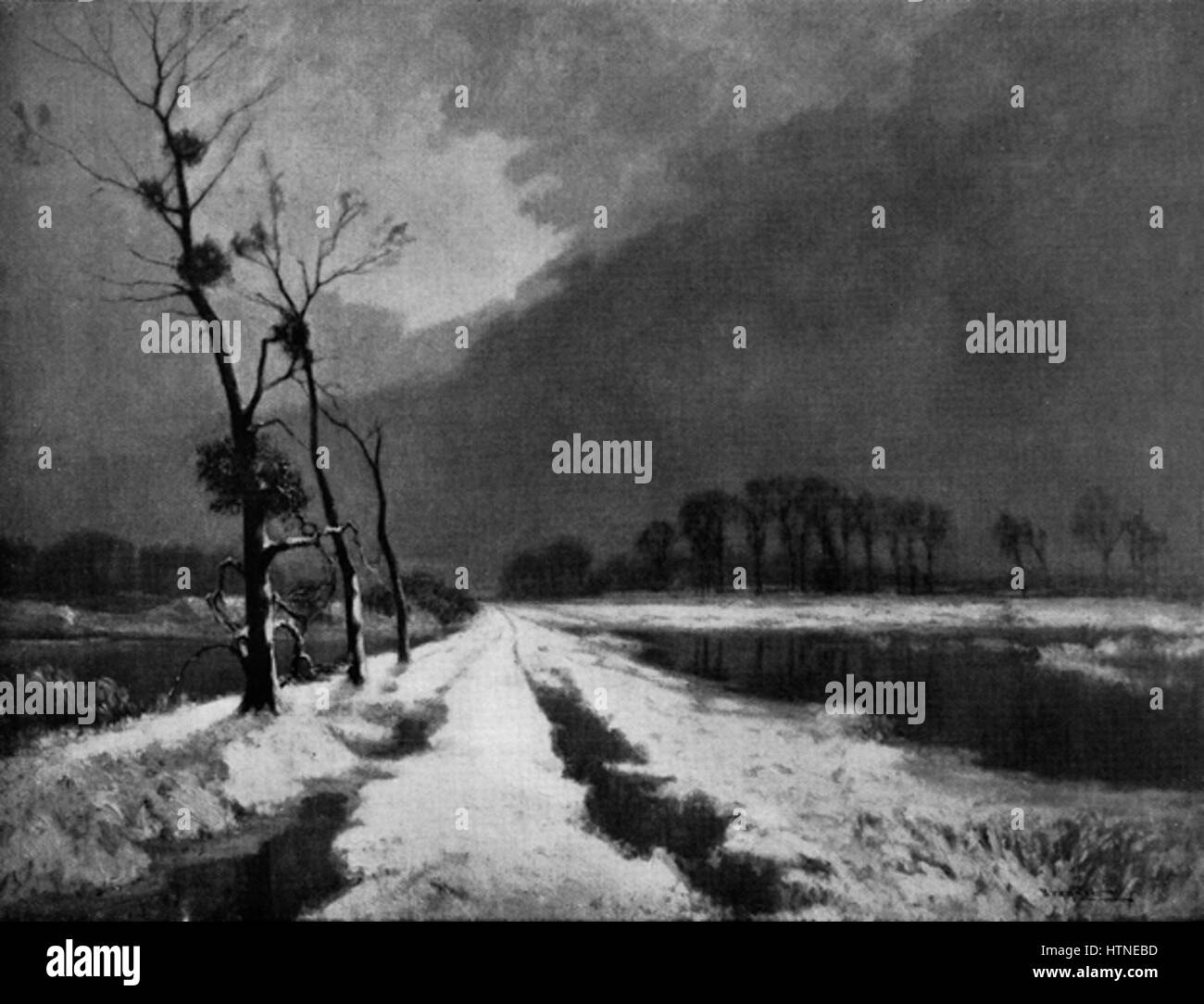 L'Hiver au marais, effet de neige Foto Stock