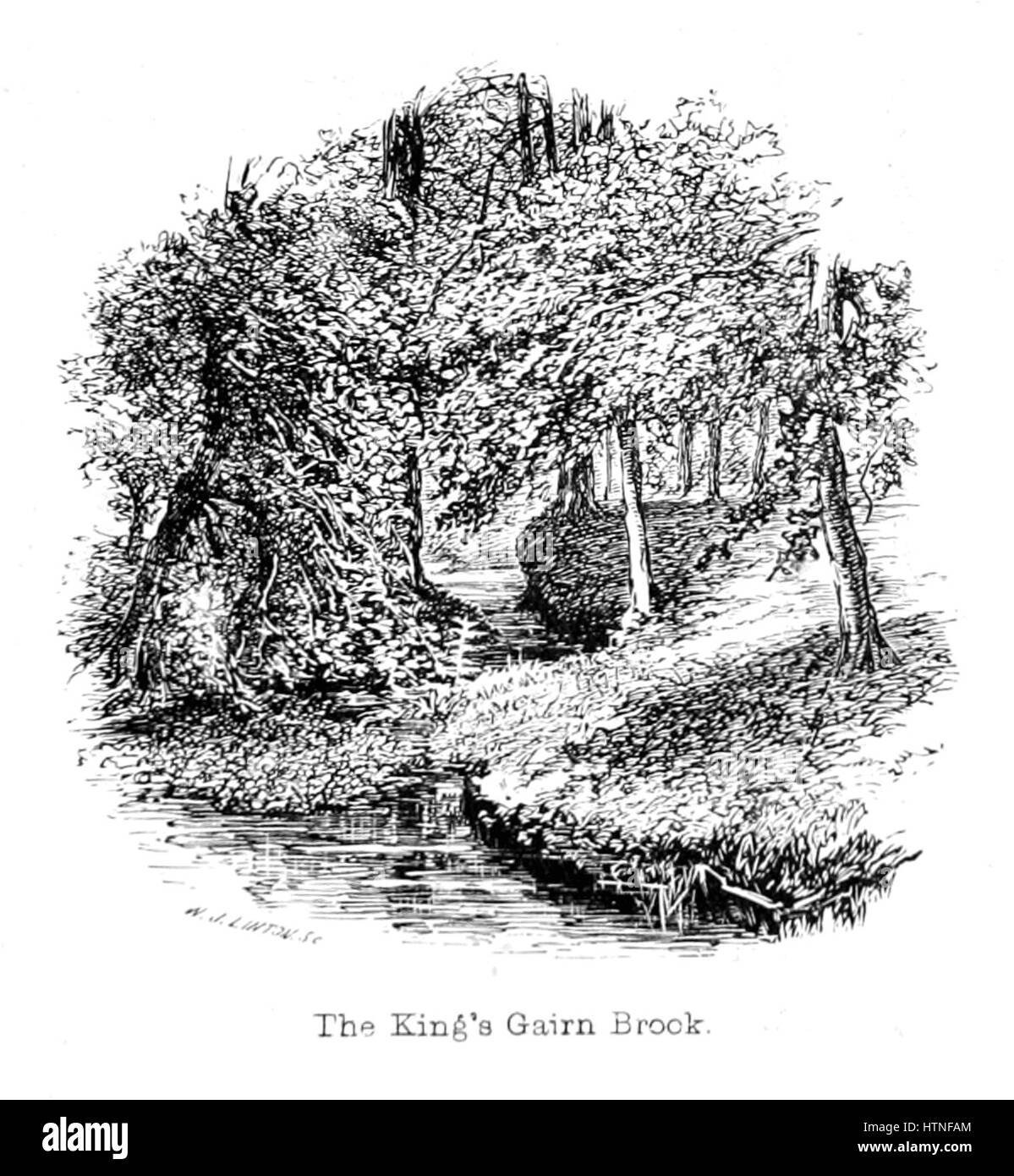 "The New Forest: La sua storia e il suo paesaggio" cattura la bellezza pittoresca e il significato storico della New Forest, un'area nel sud dell'Inghilterra. La pagina di questa pubblicazione mette in evidenza sia la bellezza naturale del paesaggio che il suo contesto storico. Foto Stock