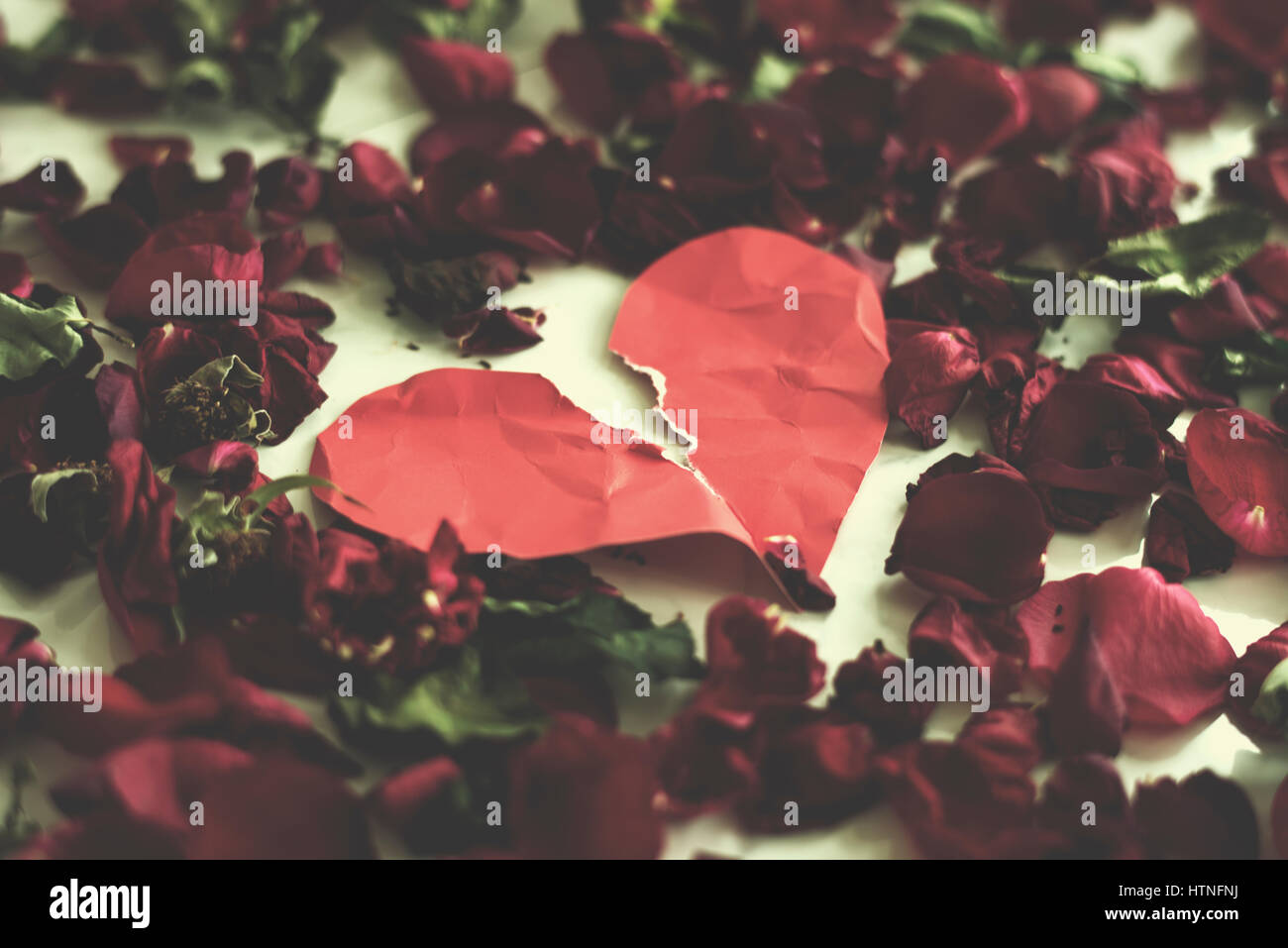 Cuore spezzato tristezza frustrazione fiore foglie Foto Stock