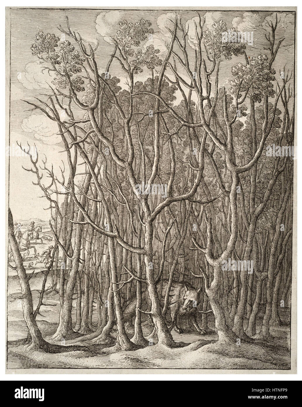 Venceslao Hollar - La volpe e il thorn bush (stato 1) Foto Stock