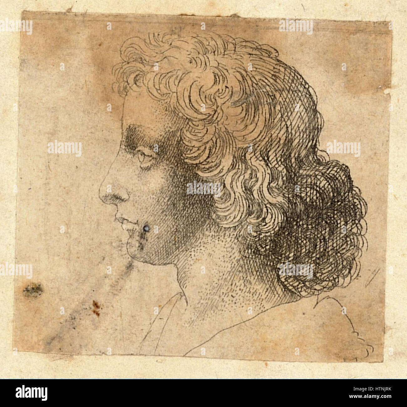 Venceslao Hollar - testa della stessa giovane uomo Foto Stock