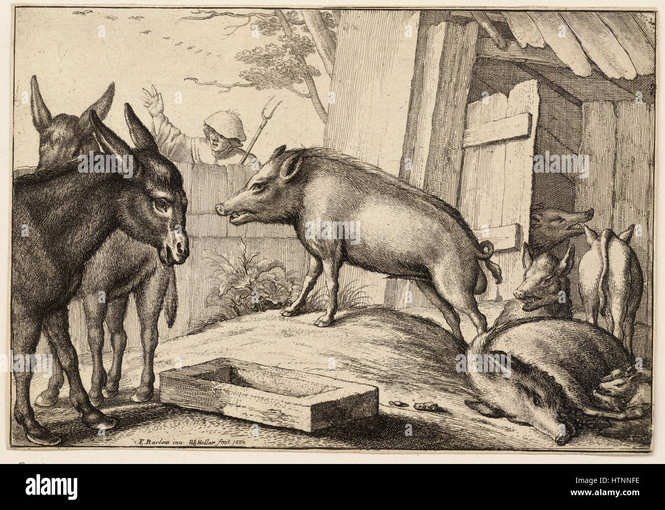 In questa incisione di Wenceslas Hollar, la raffigurazione di maiali e asini riflette l'attenzione dell'artista sugli animali e la sua abilità nel catturare figure dettagliate e naturalistiche, tipiche delle incisioni del XVII secolo. Foto Stock