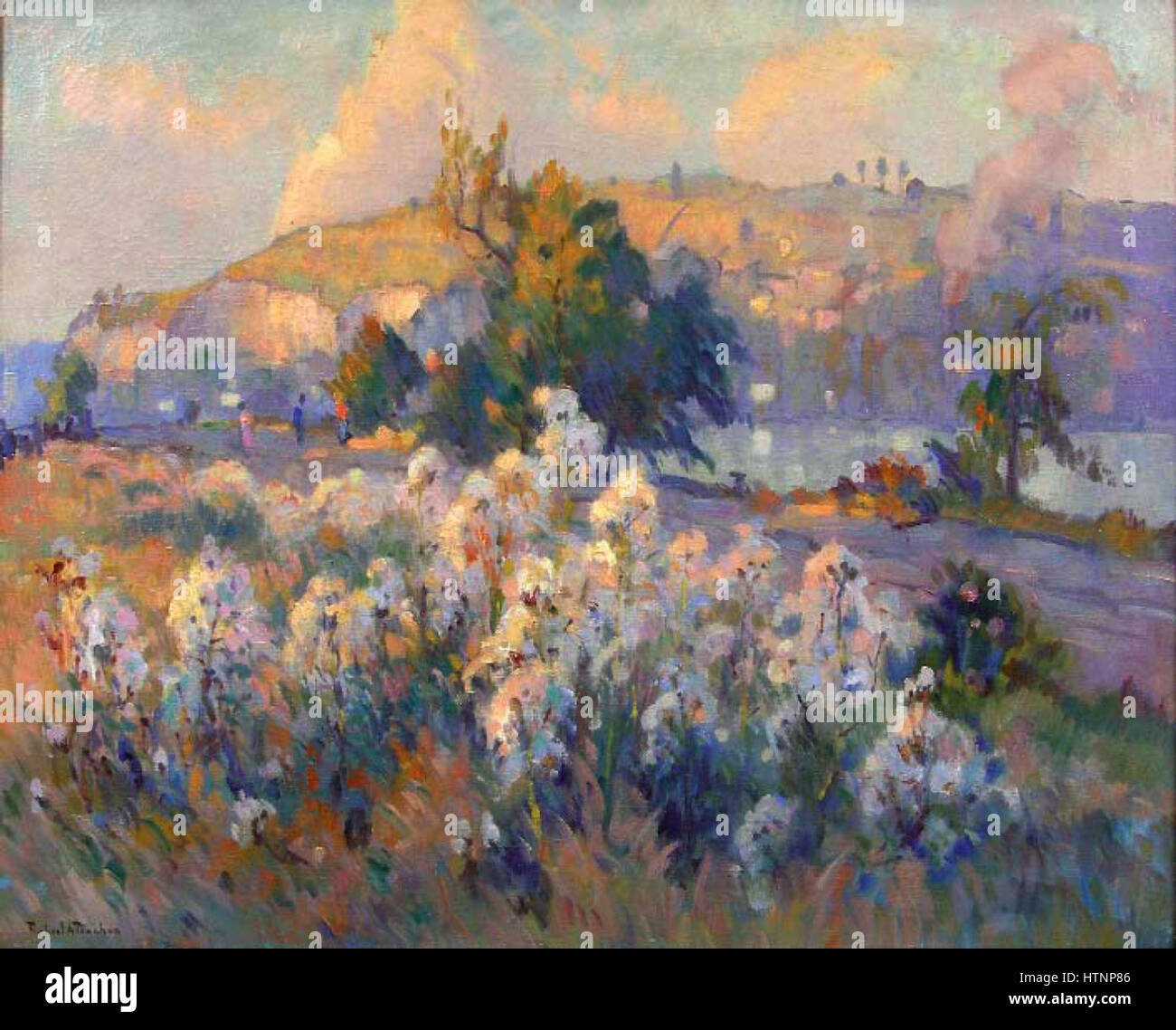 Robert Antoine Pinchon, Les chardons en bord de Seine (Chardons en fleurs), olio su tela, 65 x 81 cm Foto Stock