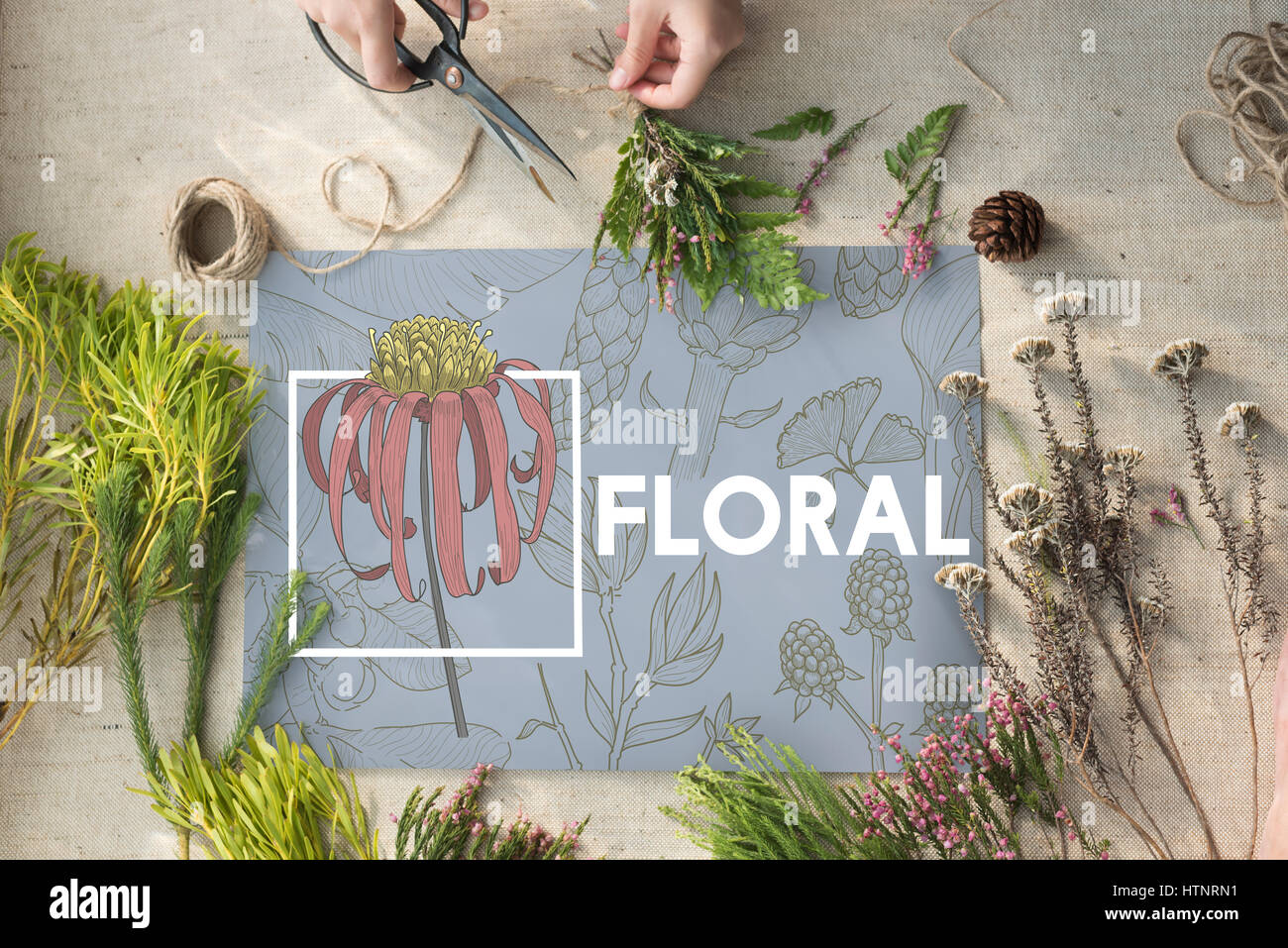Blooming Floral di arti e mestieri e natura Foto Stock