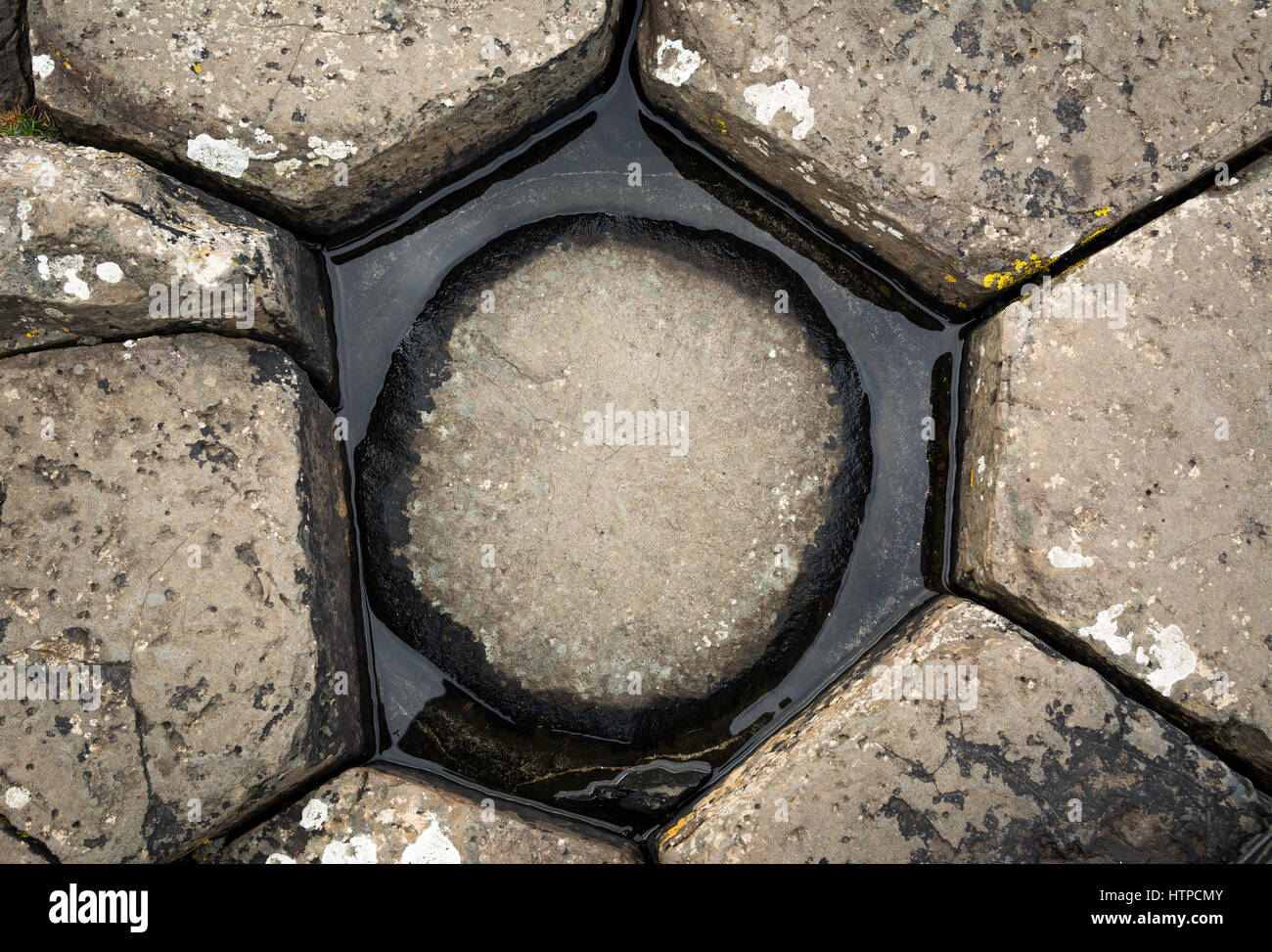 Famosa in tutto il mondo, patrimonio dell'umanità - Il Selciato del gigante in Irlanda del Nord della costa. Foto Stock