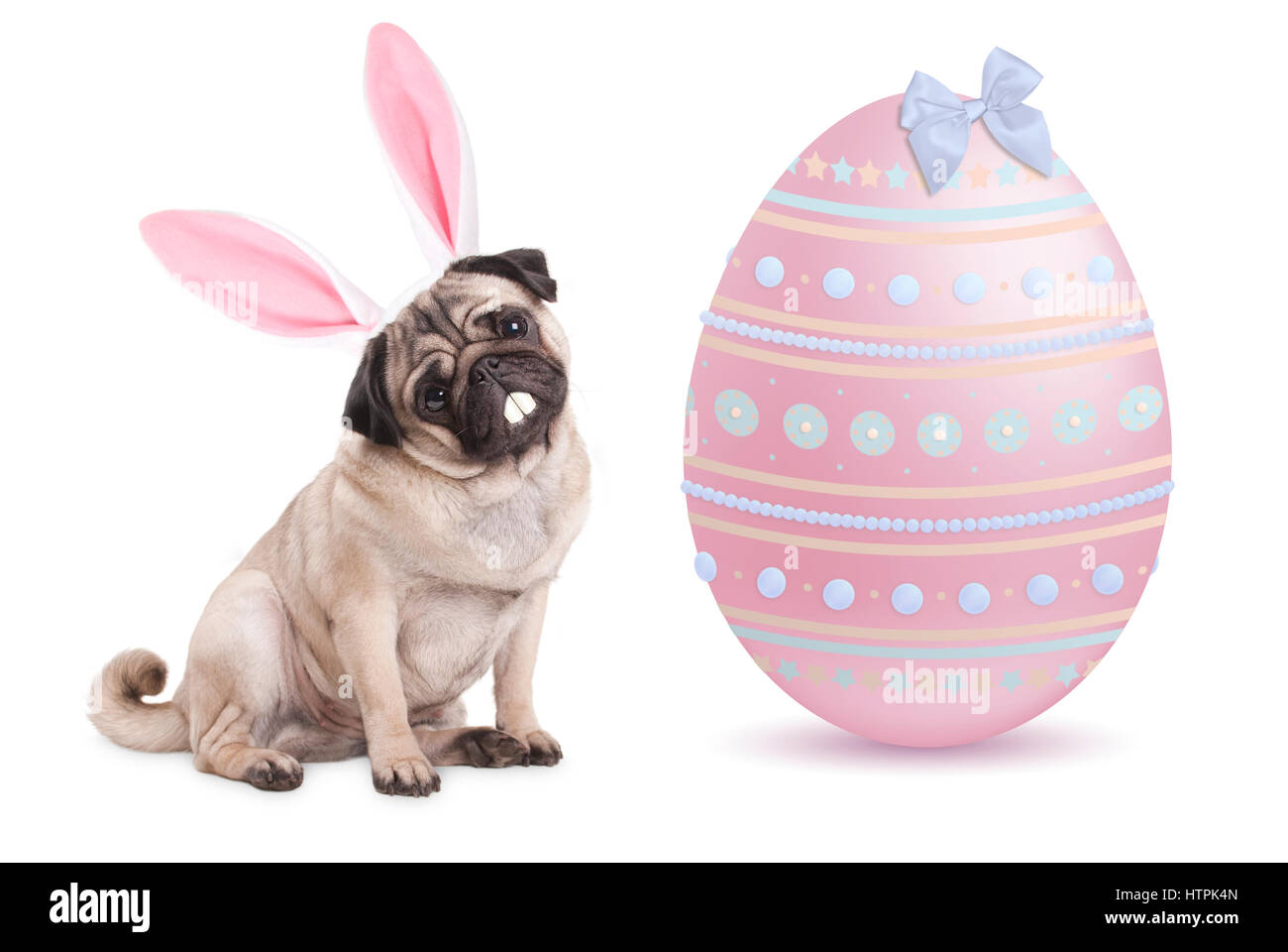 Funny pug cucciolo di cane con orecchie di coniglietto diadema seduto accanto al grande rosa pastello uovo di pasqua, isolato su sfondo bianco Foto Stock