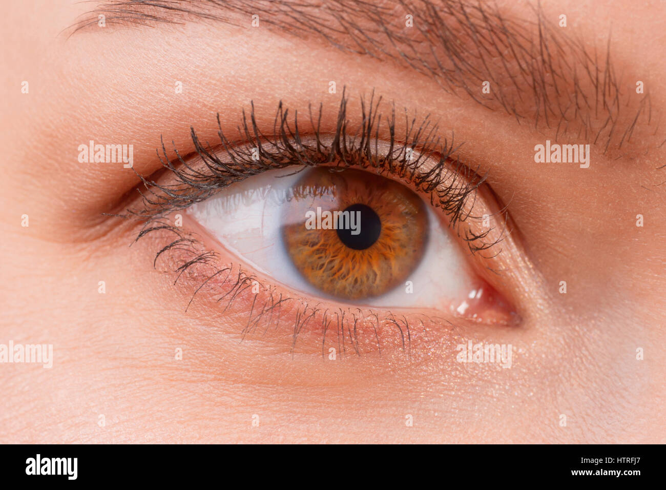 Vista ravvicinata della femmina marrone occhio indossa le lenti a contatto. Buona visione, la correzione di visione o il concetto di osservazione Foto Stock