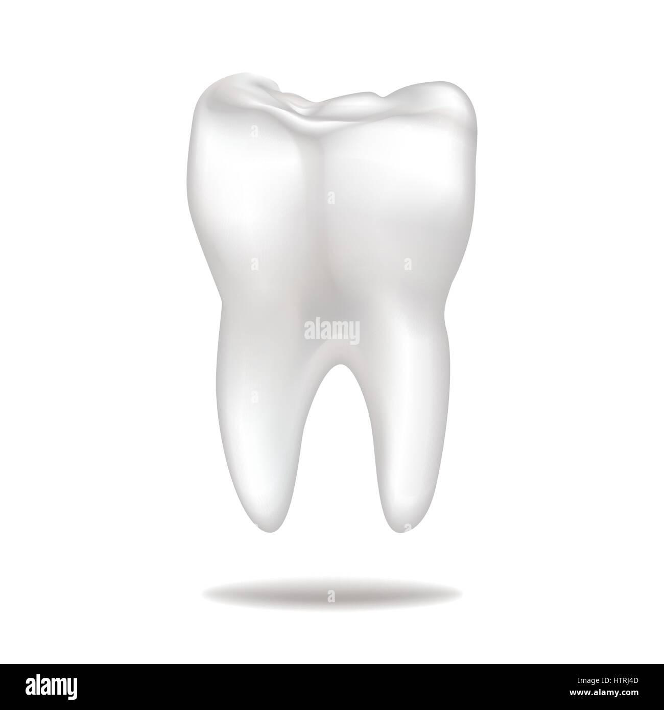 Dente isolato. denti bianchi segno. dentale Illustrazione medica. Illustrazione Vettoriale