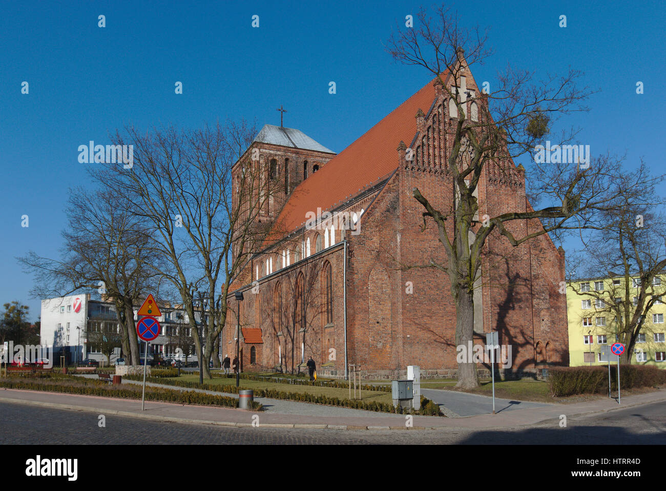 Gotica chiesa collegiata in Strzelce Krajeńskie Foto Stock