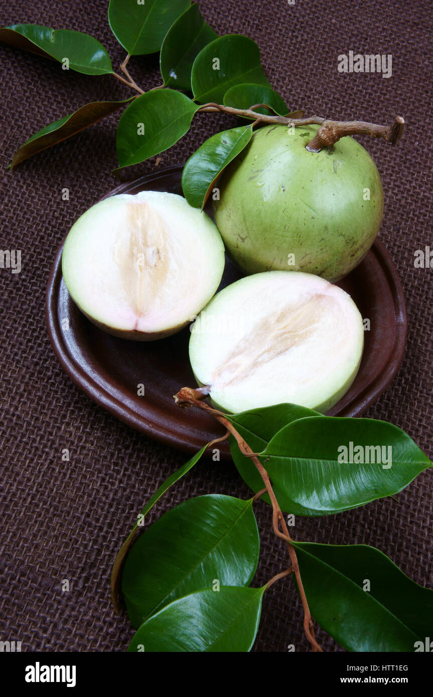 Il Vietnam frutta, latte di frutta o star apple o Vu Sua, è speciale prodotto di fattoria che la nutrizione, frutta con foglia verde su sfondo marrone Foto Stock