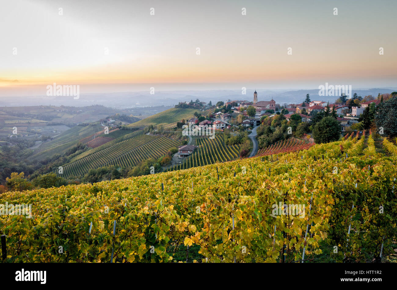 Treiso Le Langhe Foto Stock