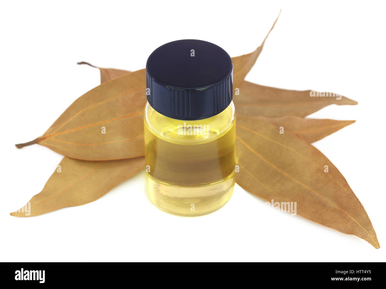 Foglie di alloro con olio essenziale su sfondo bianco Foto Stock