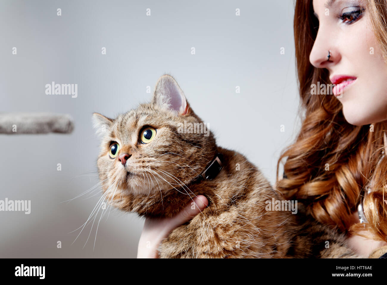 Bellissima ragazza con il suo gatto su sfondo bianco. Persone e animali domestici. Stile di vita Foto Stock