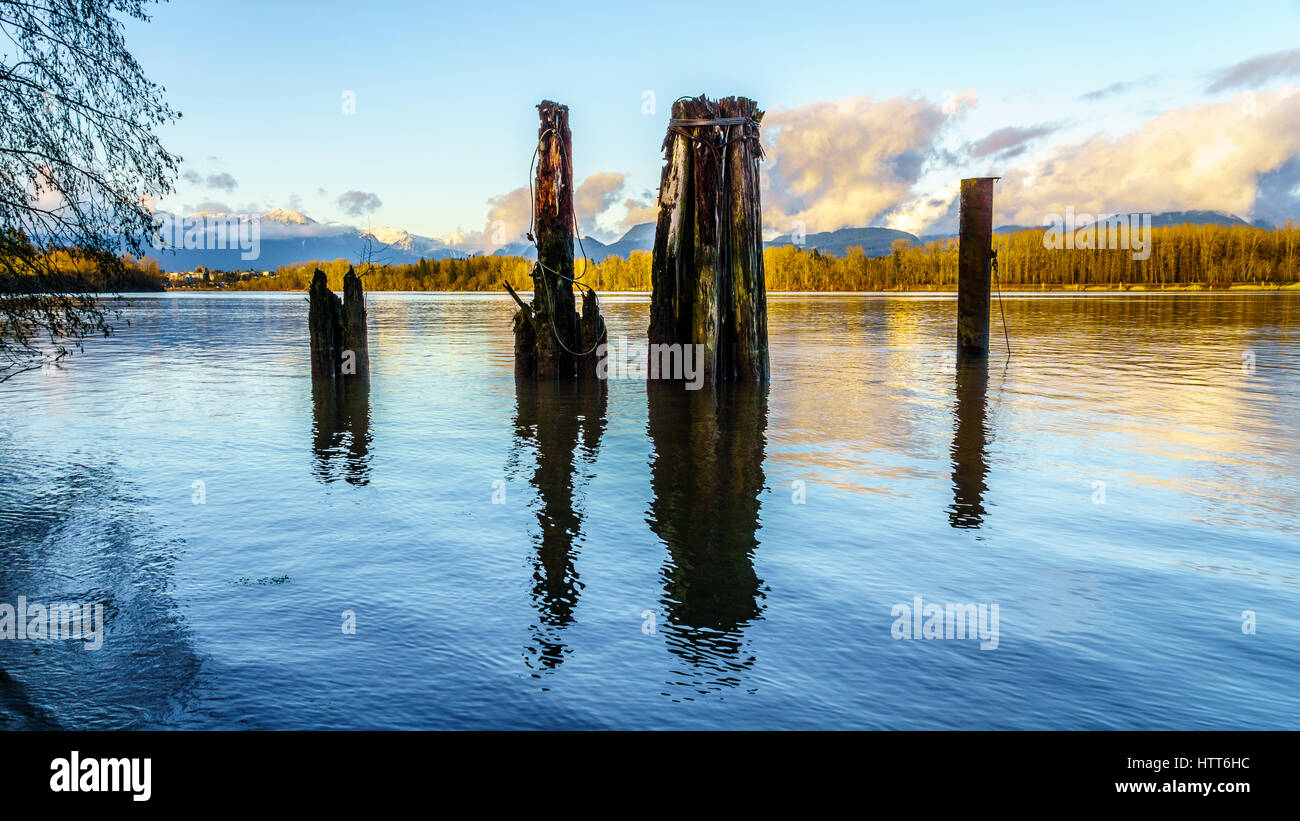 Tramonto sul fiume Fraser e montagne costiere visto da Brae isola a Fort Langley in British Columbia, Canada. Vecchio palificazioni di legno sono usati Foto Stock