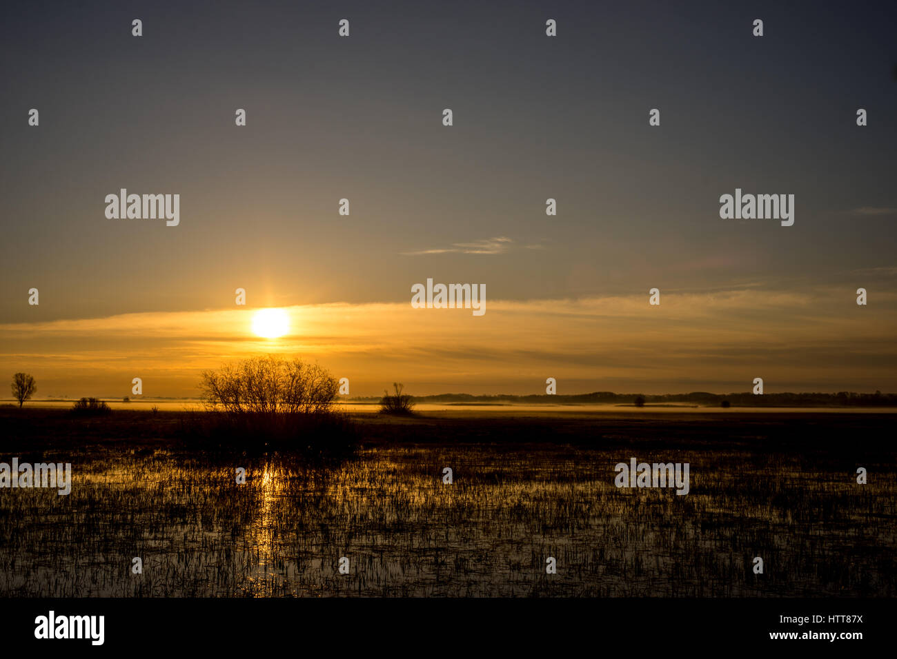 Biebrza National Park - backwaters - Polonia Foto Stock