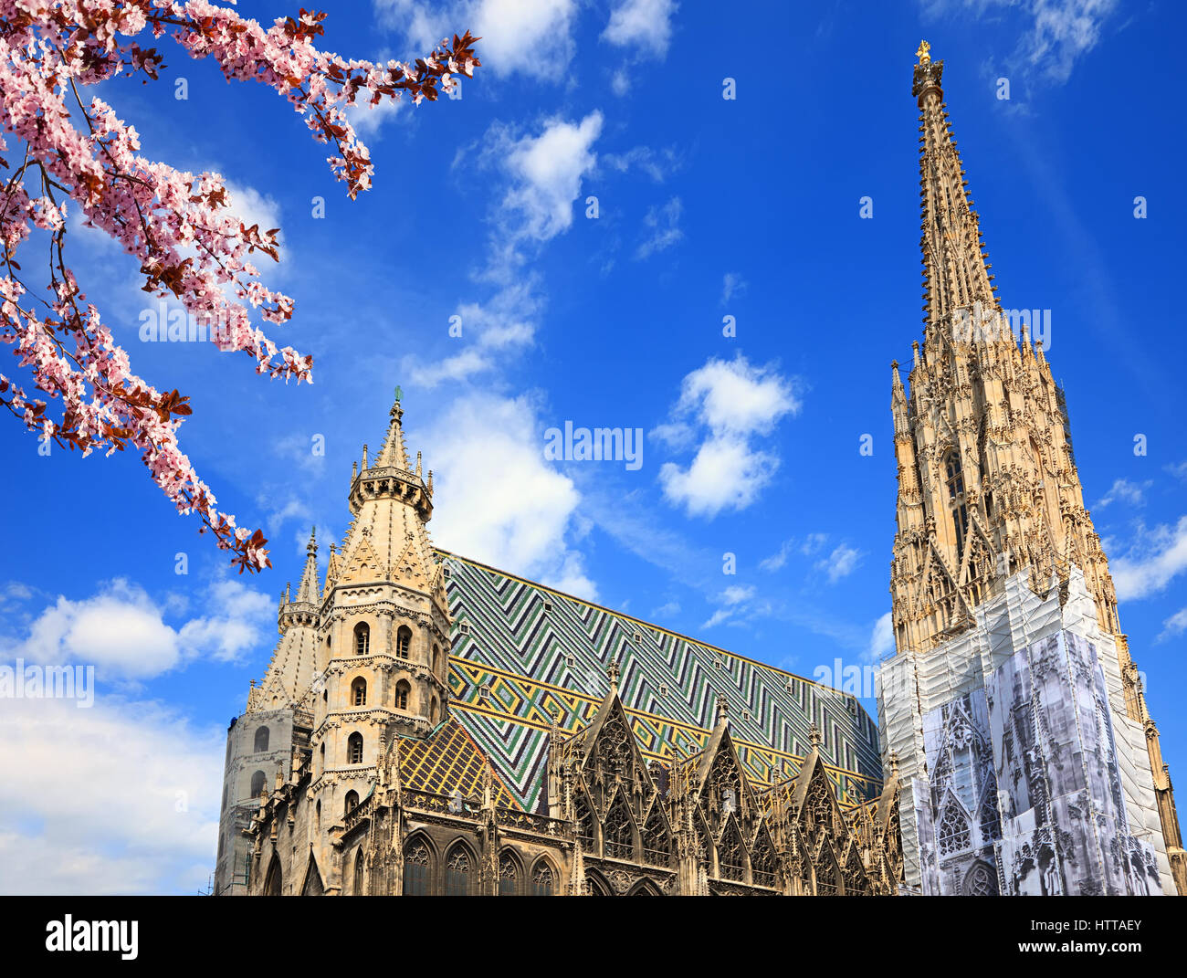 Cattedrale di Santo Stefano a Vienna nel periodo estivo Foto Stock