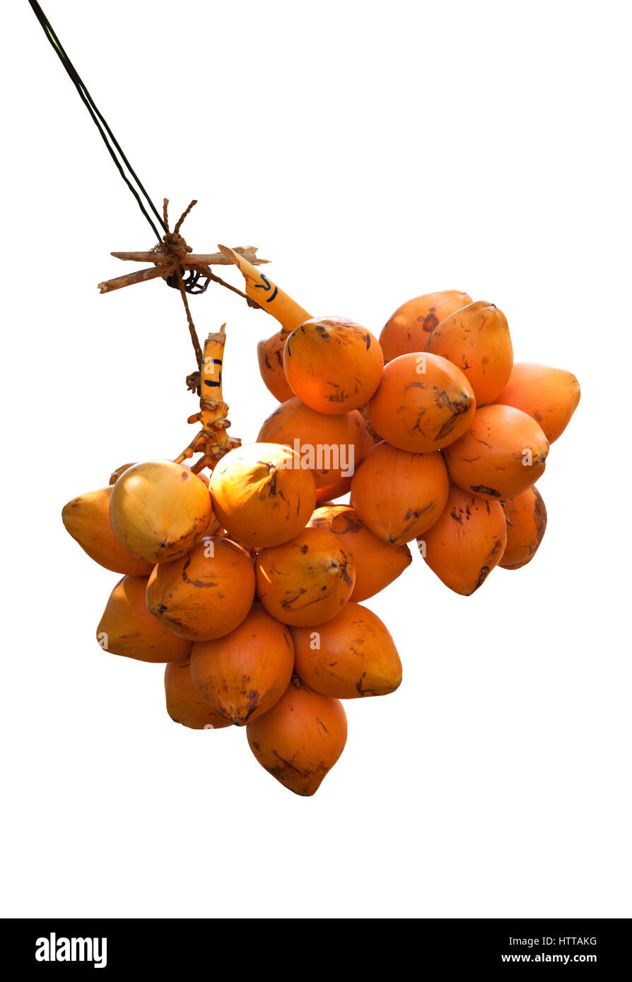 2 mazzetto di orange re noci di cocco display per vendere su sfondo bianco dallo Sri lanka Foto Stock