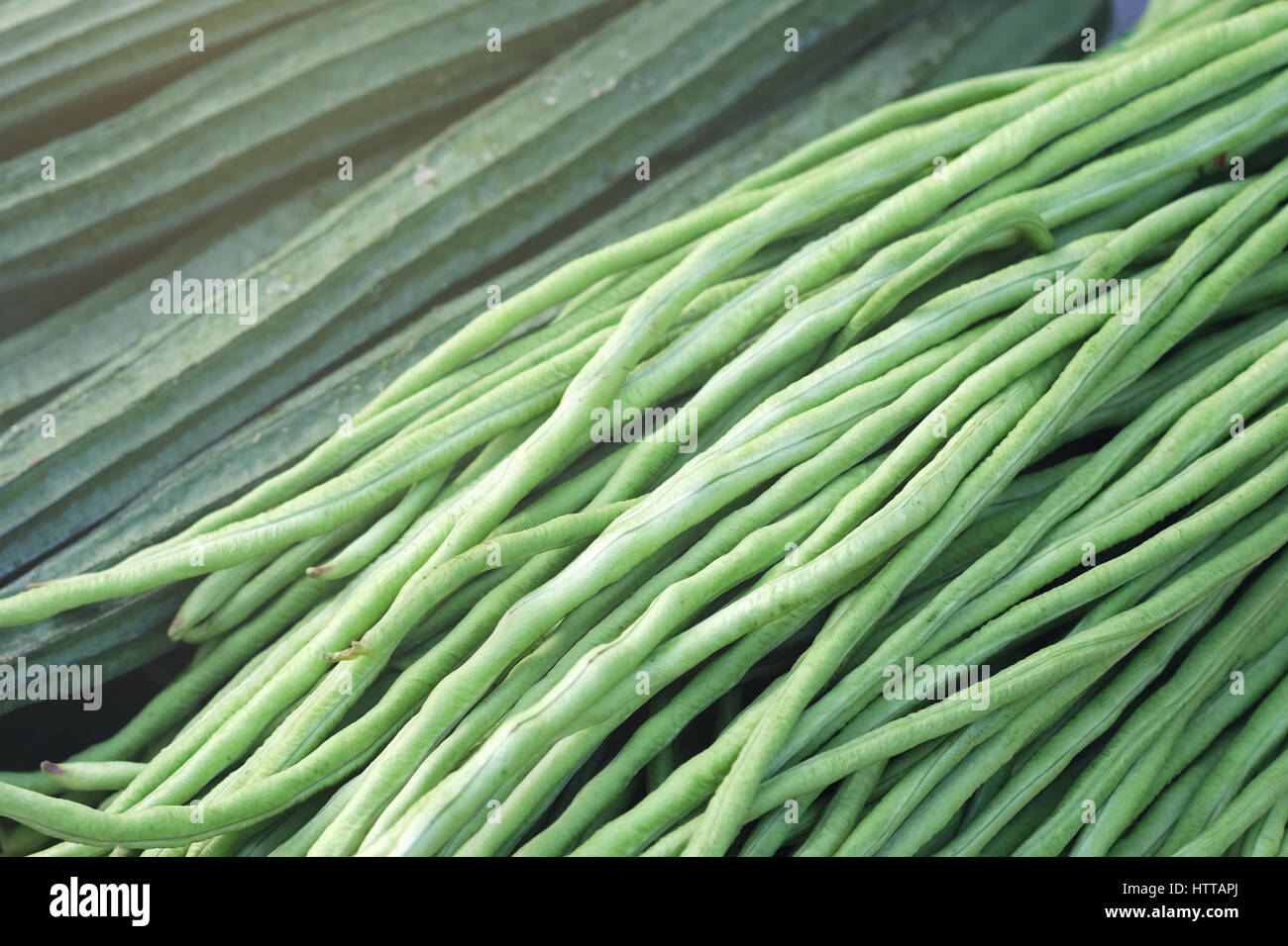 Yardlong vegetale di fagiolo Foto Stock