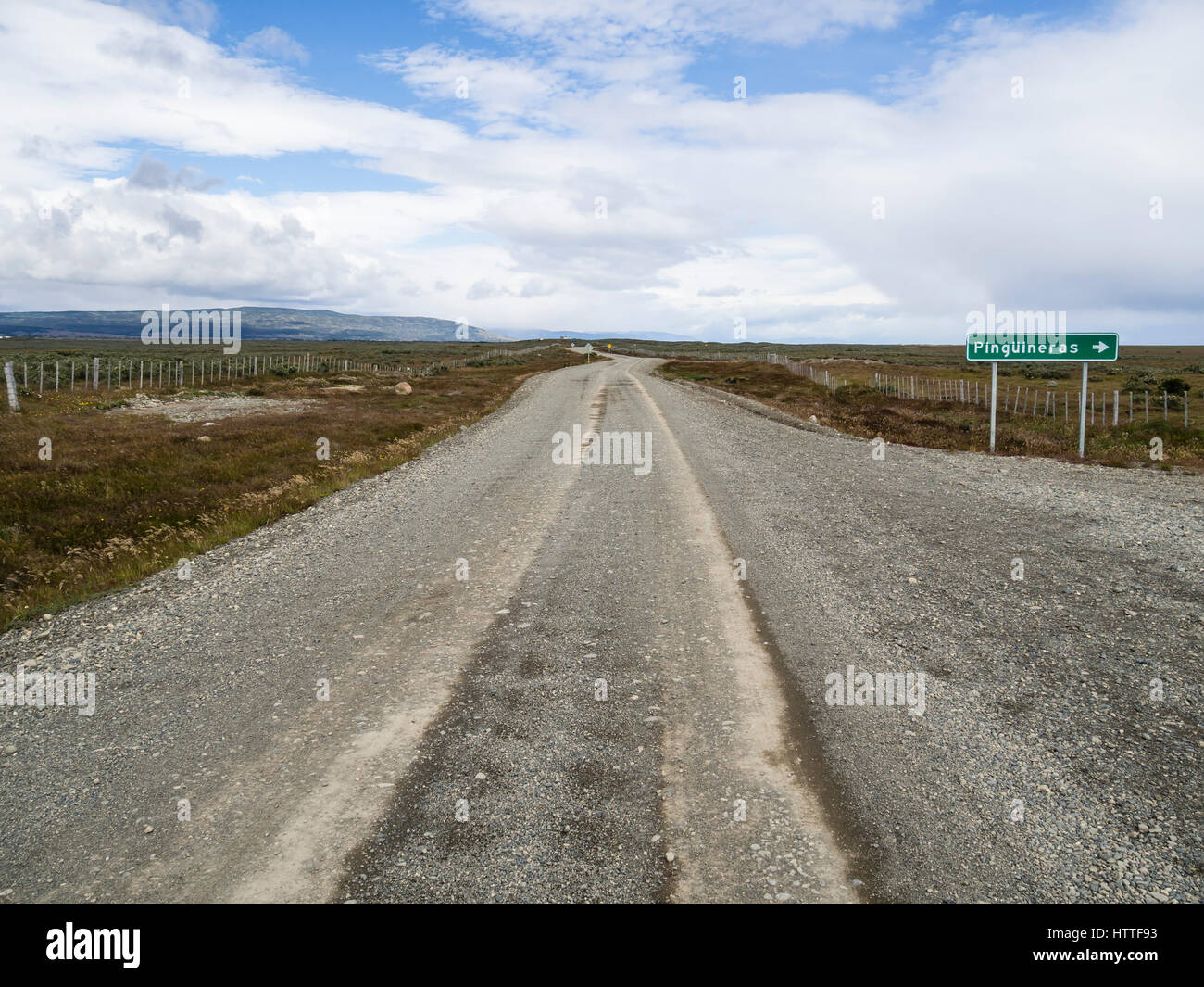 Strada rurale al Seno Otway colonia di pinguini, nei pressi di Punta Arenas, Patagonia, Cile Foto Stock