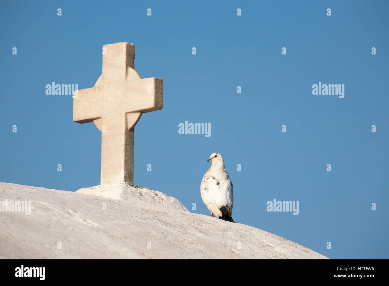 Colomba arroccata accanto alla croce sul tetto della Panagia Paraportiani Chiesa Greco Ortodossa, nella città di Chora sull'Isola di Mykonos Foto Stock