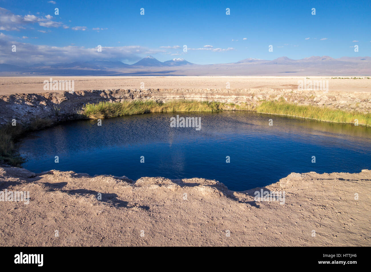 Ojos del salar laguna landmark in San Pedro de Atacama, Cile Foto Stock
