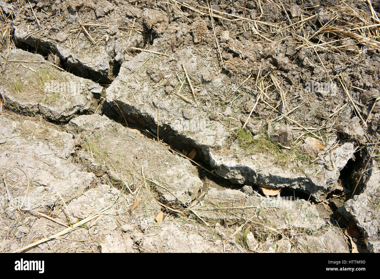 Risaie aveva appena raccolto, il terreno asciutto, terra di siccità nella stagione calda, paesaggio e chiudere fino di terre agricole a secco con la paglia, il Delta del Mekong, Vietnam Foto Stock