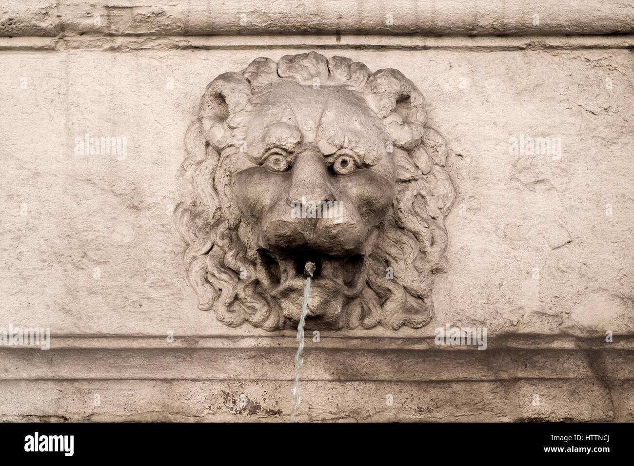 Testa di leone a fontana sul palazzo storico a Bologna Foto Stock