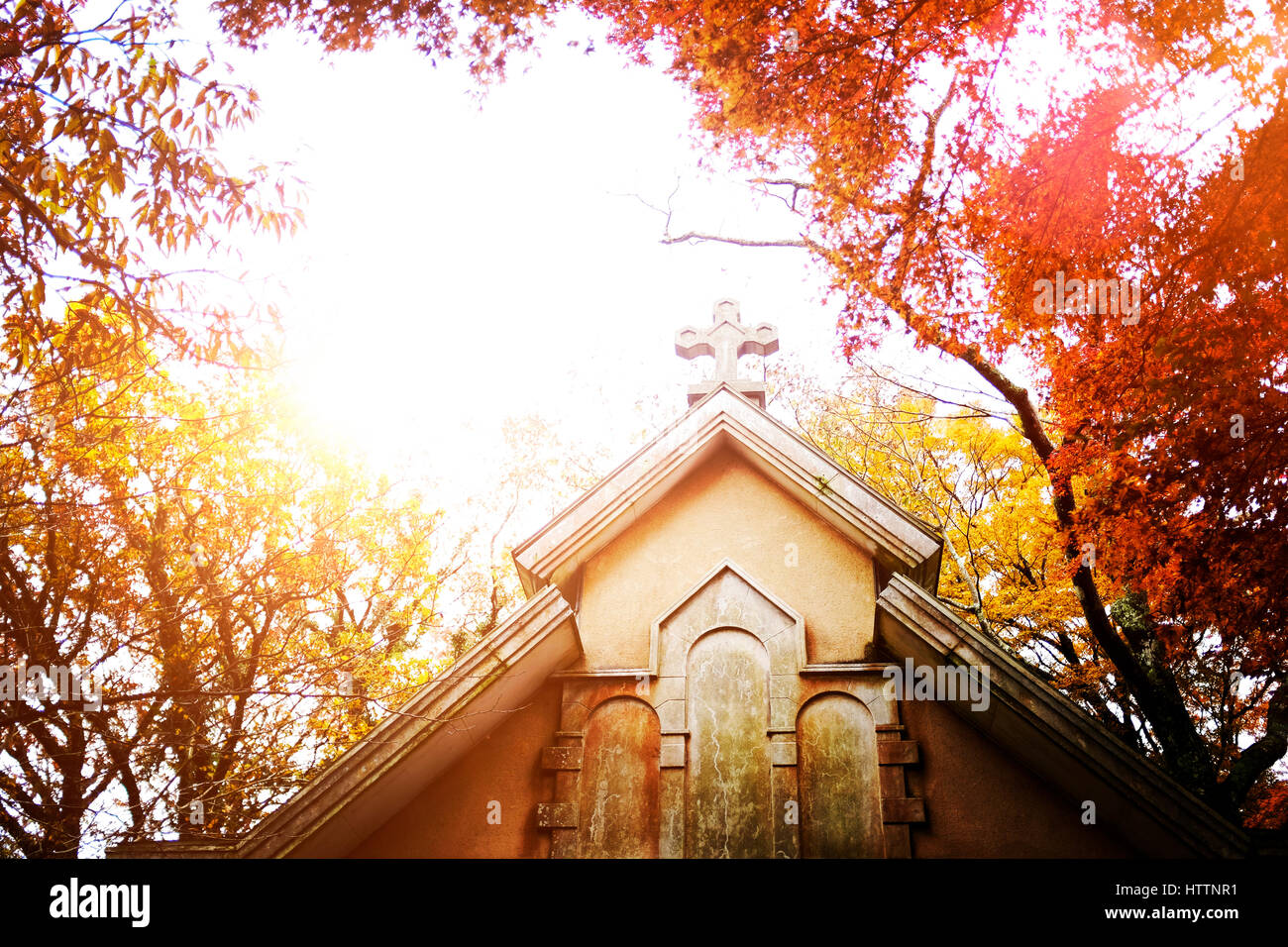 Chiesa di Cristo di albero bellissimo naturale Foto Stock