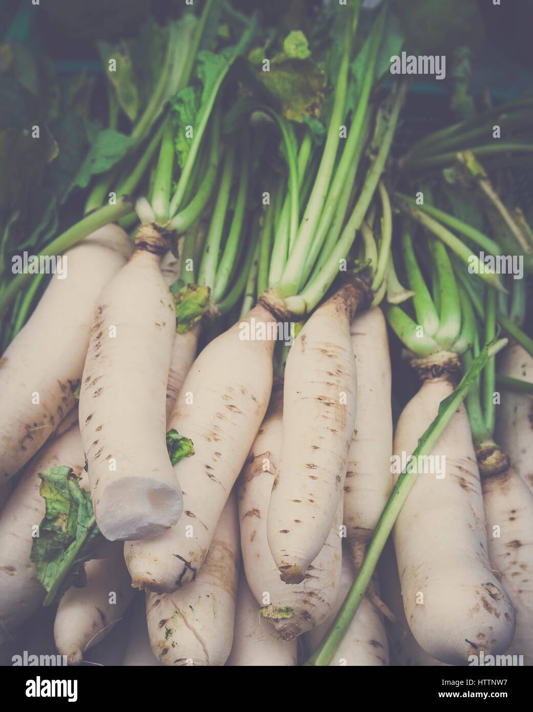 Il radicchio bianco carota alimento vegetale Foto Stock