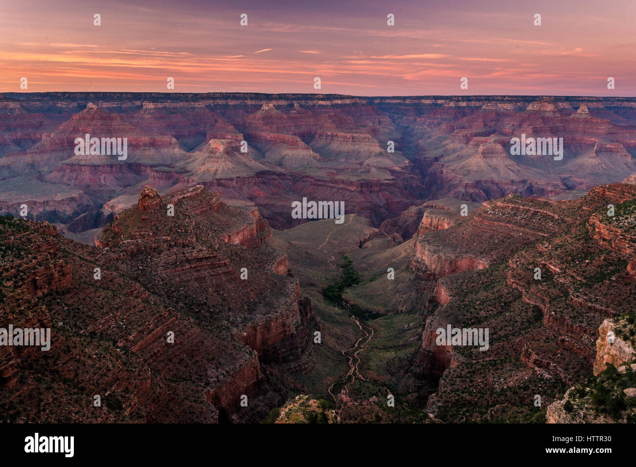 Superba Grand Canyon alba Foto Stock