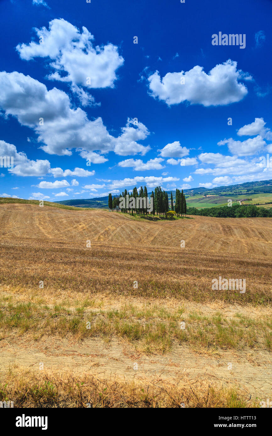 San Quirico d' Orcia campagna, distretto di Siena, Toscana, Italia Foto Stock