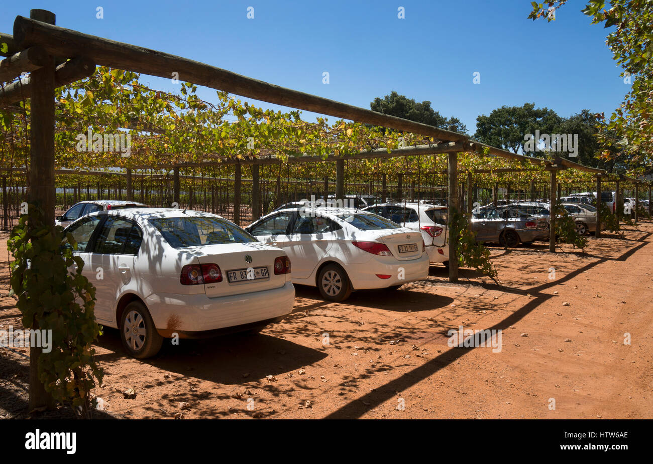 Giardini Babylonstoren,western cape,Sud Africa Foto Stock