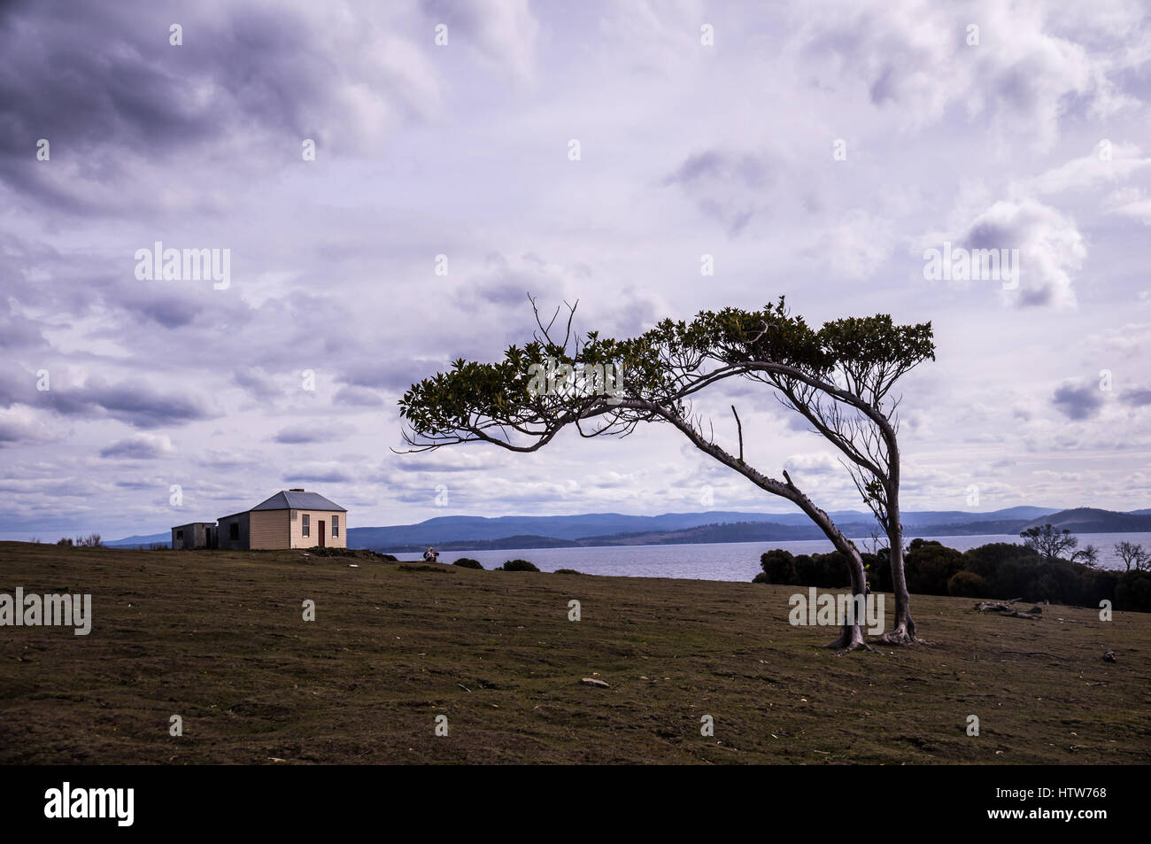 Casa con albero in Darlington su Maria Island, Tasmania, Australia Foto Stock