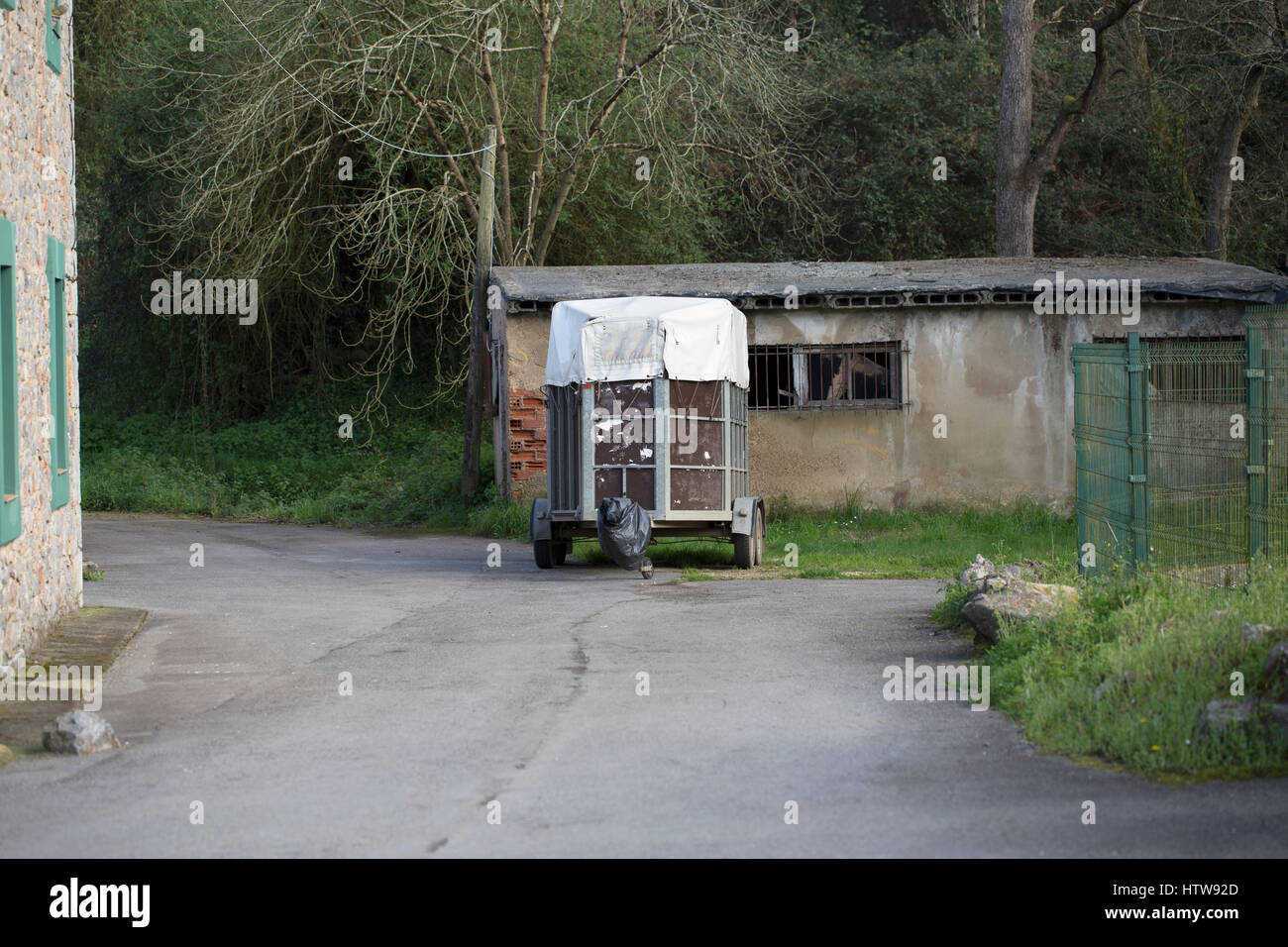 Rimorchio del cavallo Foto Stock