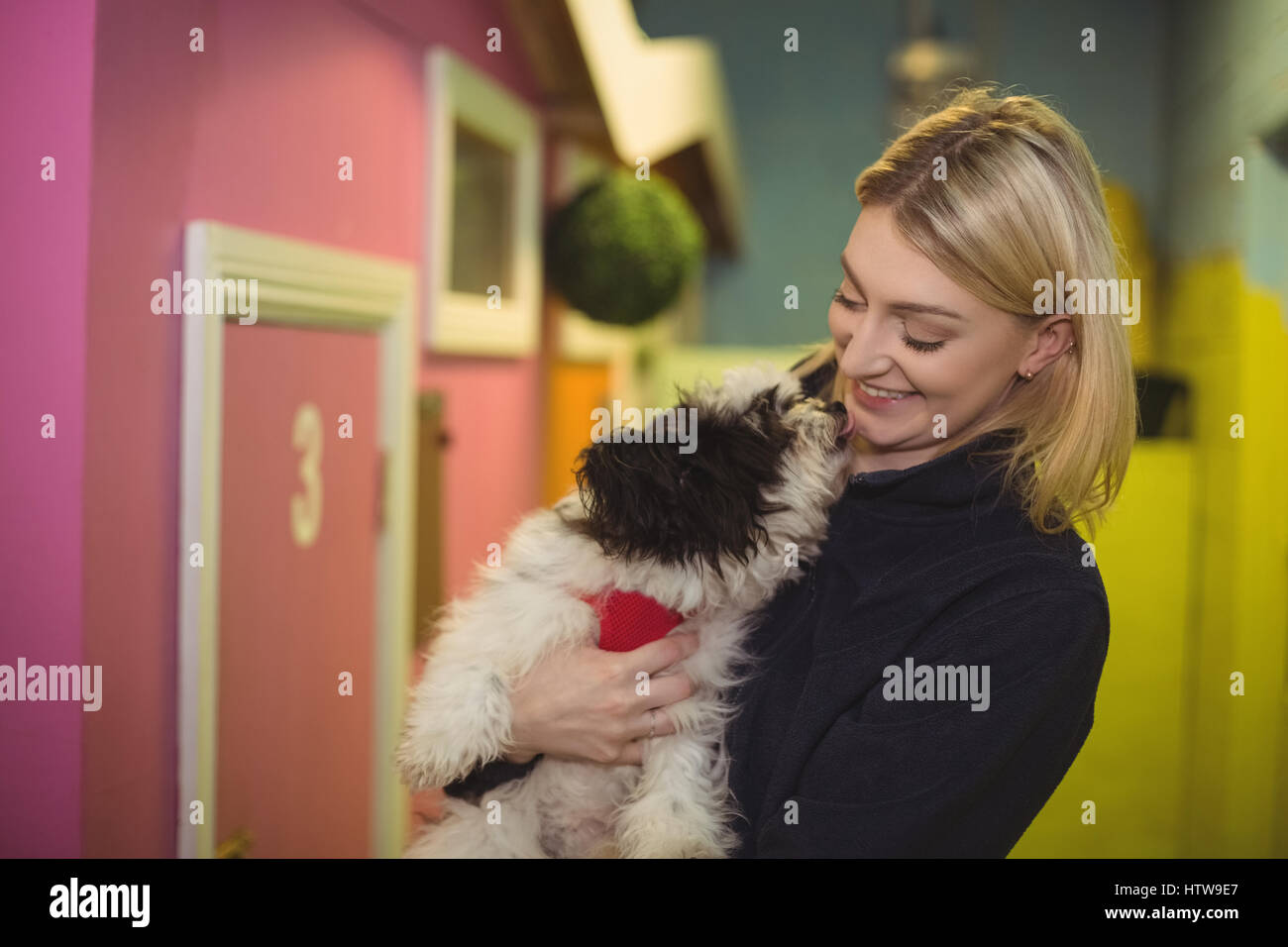 Donna che trasportano papillon cane a cane care center Foto Stock