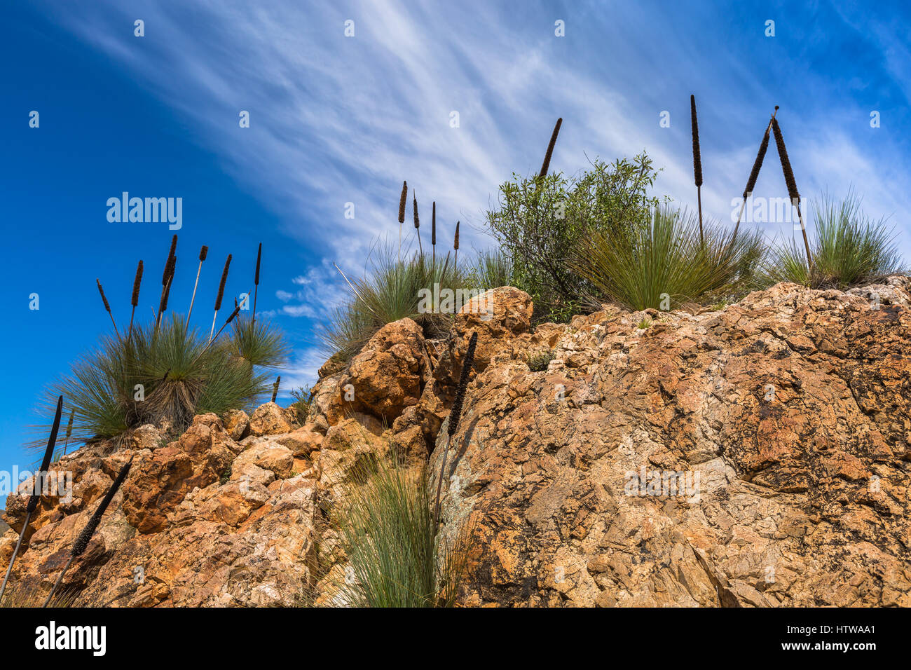 Flinders Ranges, Sud Australia Foto Stock