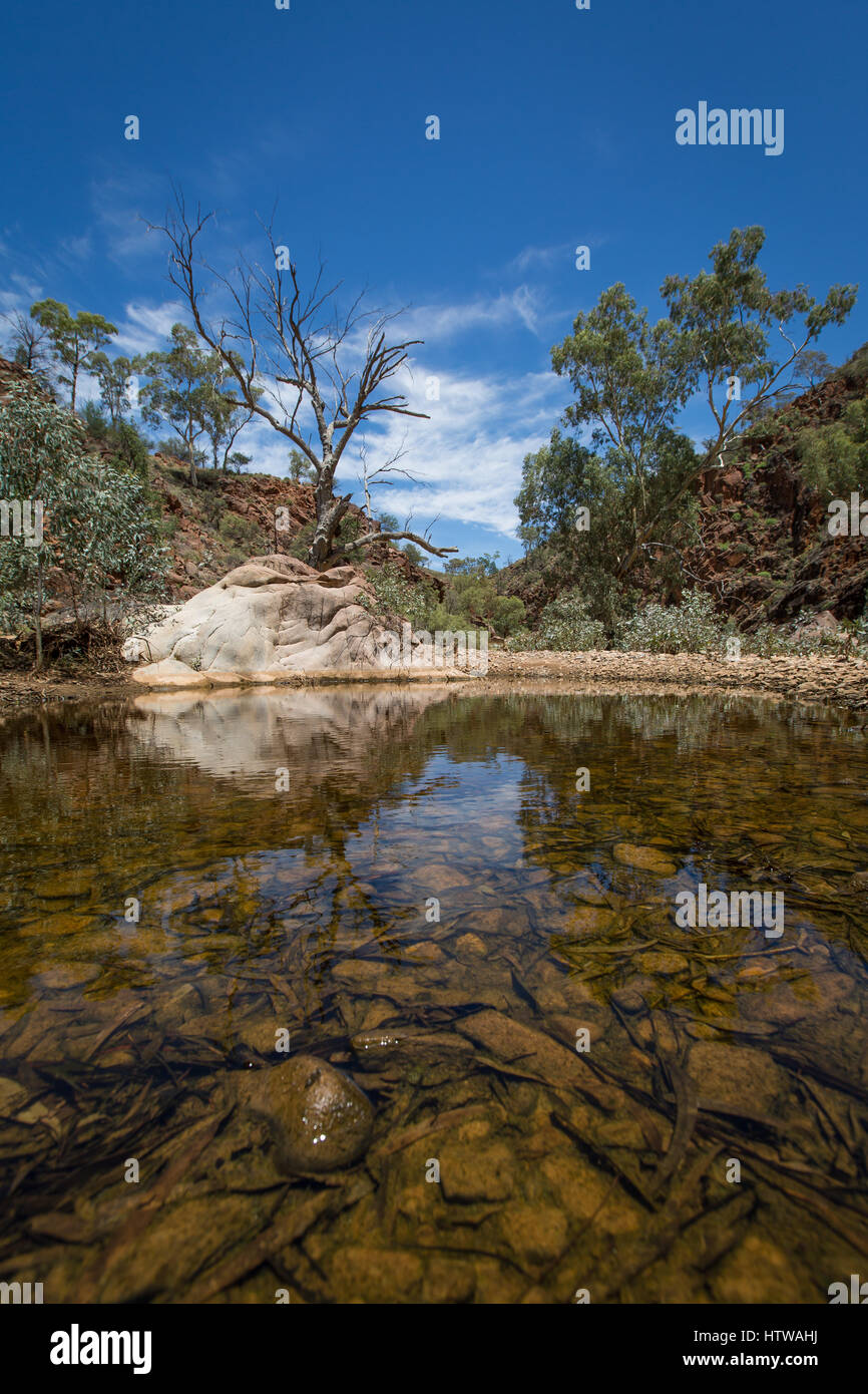 Arkaroola - Flinders Ranges, Sud Australia Foto Stock