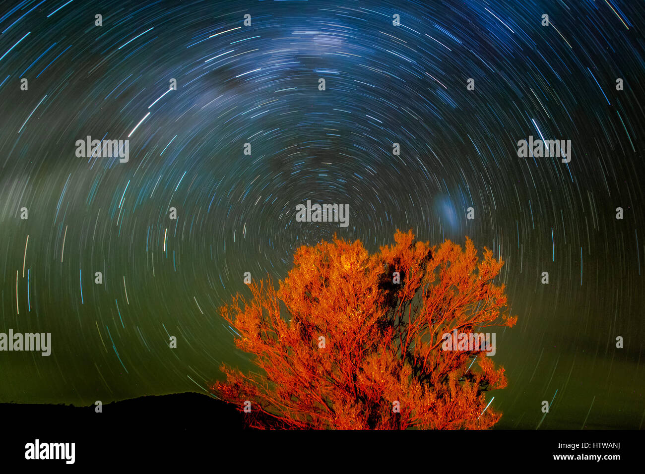 Arkaroola - Flinders Ranges, Sud Australia Foto Stock