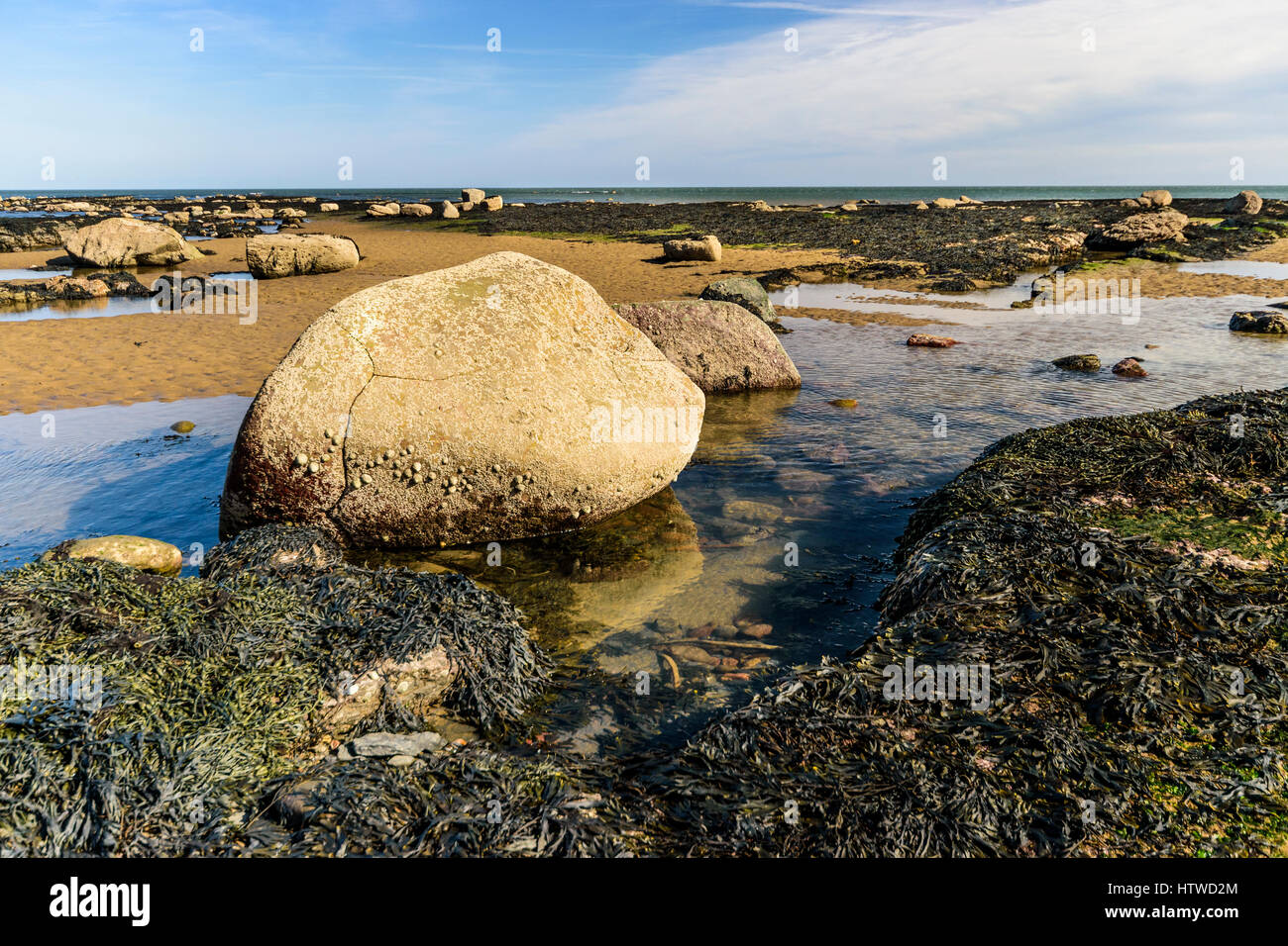 Bassa marea a Robin cappe bay North Yorkshire Foto Stock