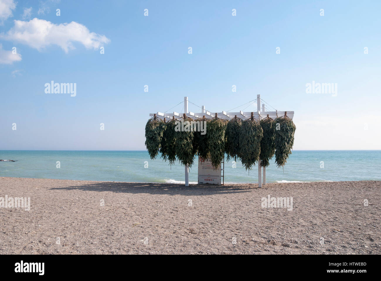 Un display invertiti di alberi di Natale, parte della spiaggia annuale stazione salvavita di arte e design in mostra a Toronto in Canada Foto Stock