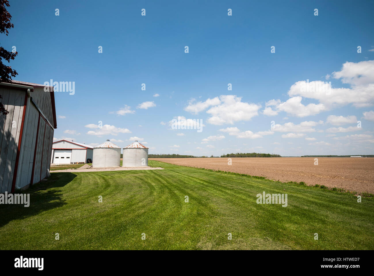 Semi di scomparti di stoccaggio su un mais commerciale attività agricole nelle zone rurali Southern Ontario Canada Foto Stock