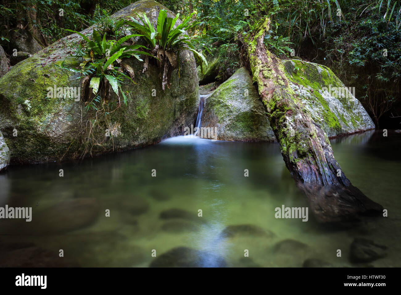 Mossman Gorge - Estremo Nord Queensland, Australia Foto Stock