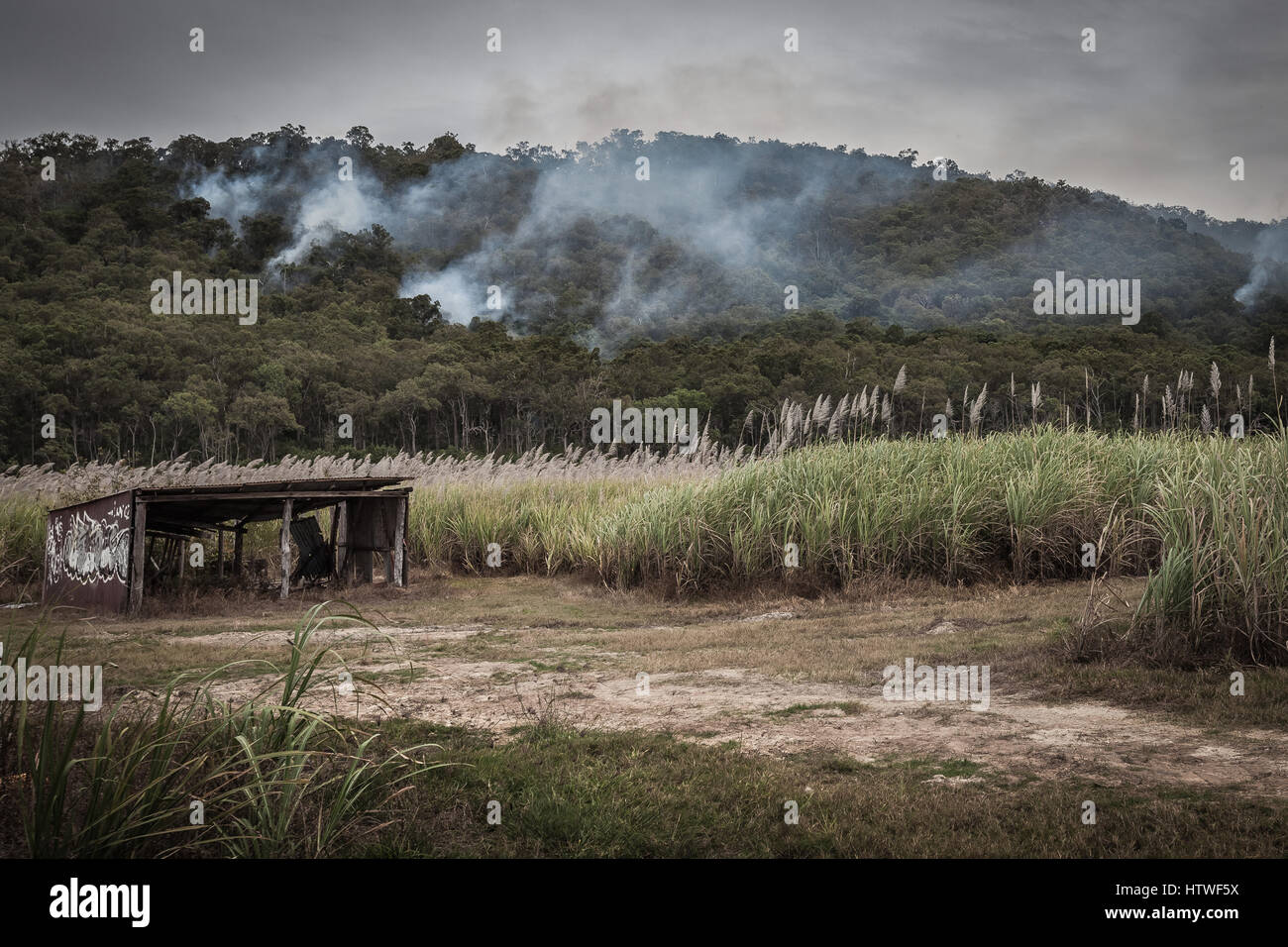 Far North Queensland, Australia Foto Stock