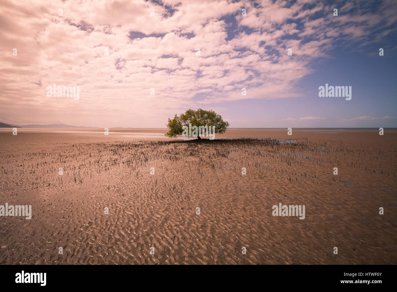 Far North Queensland, Australia Foto Stock
