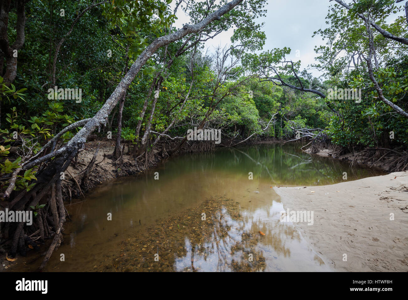 Far North Queensland, Australia Foto Stock
