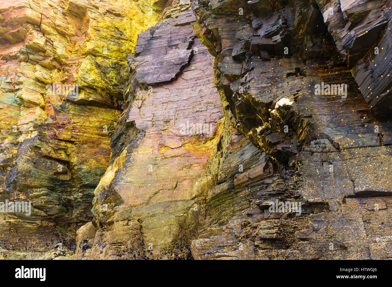 Ardesia e scisto pareti di roccia presso la spiaggia delle cattedrali monumento naturale a ribadeo comune, provincia di Lugo, Galizia, Spagna, Europa Foto Stock